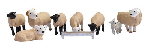 Set sheep graham - of,